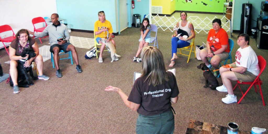 Teach Group Classes
