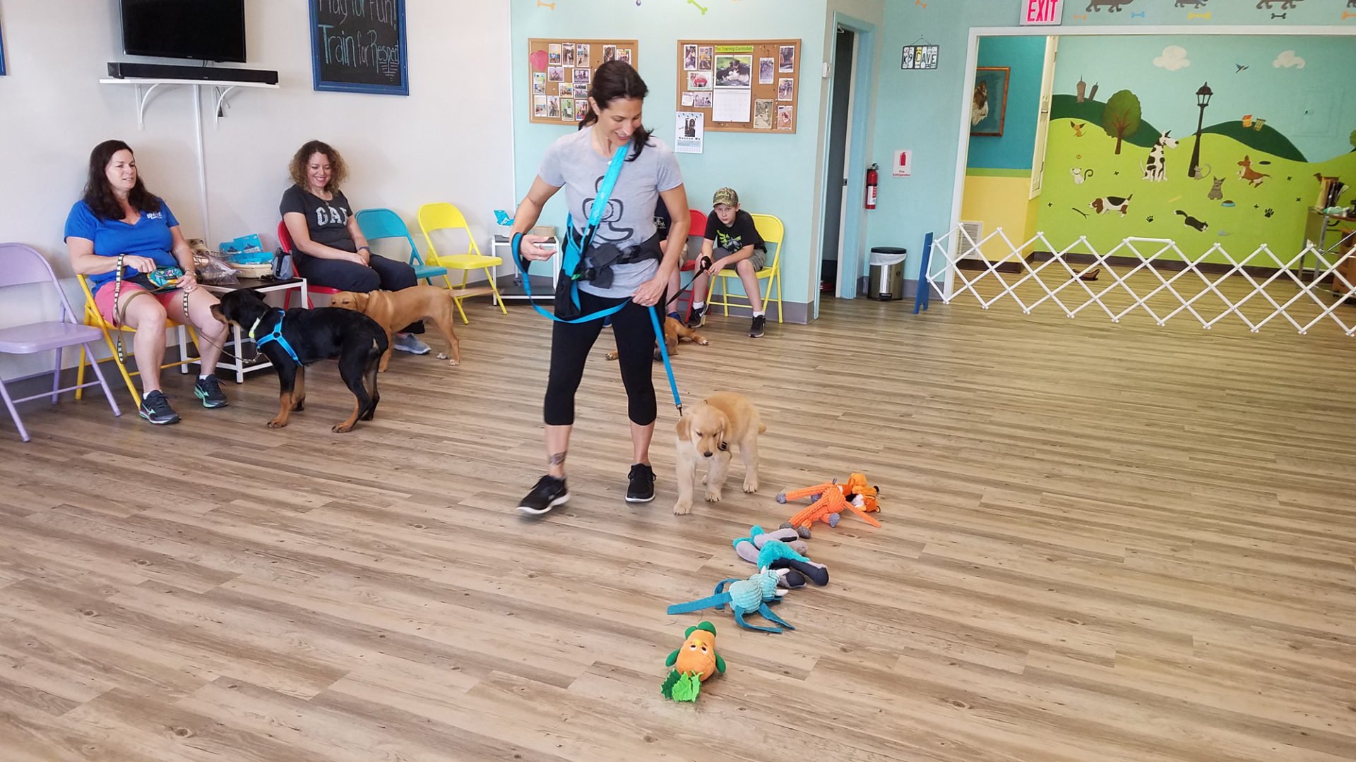 Lyissa-Walking-Puppy-by-Toys